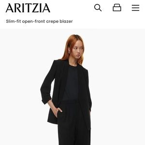 Aritzia Babaton Power Blazer - Size 2